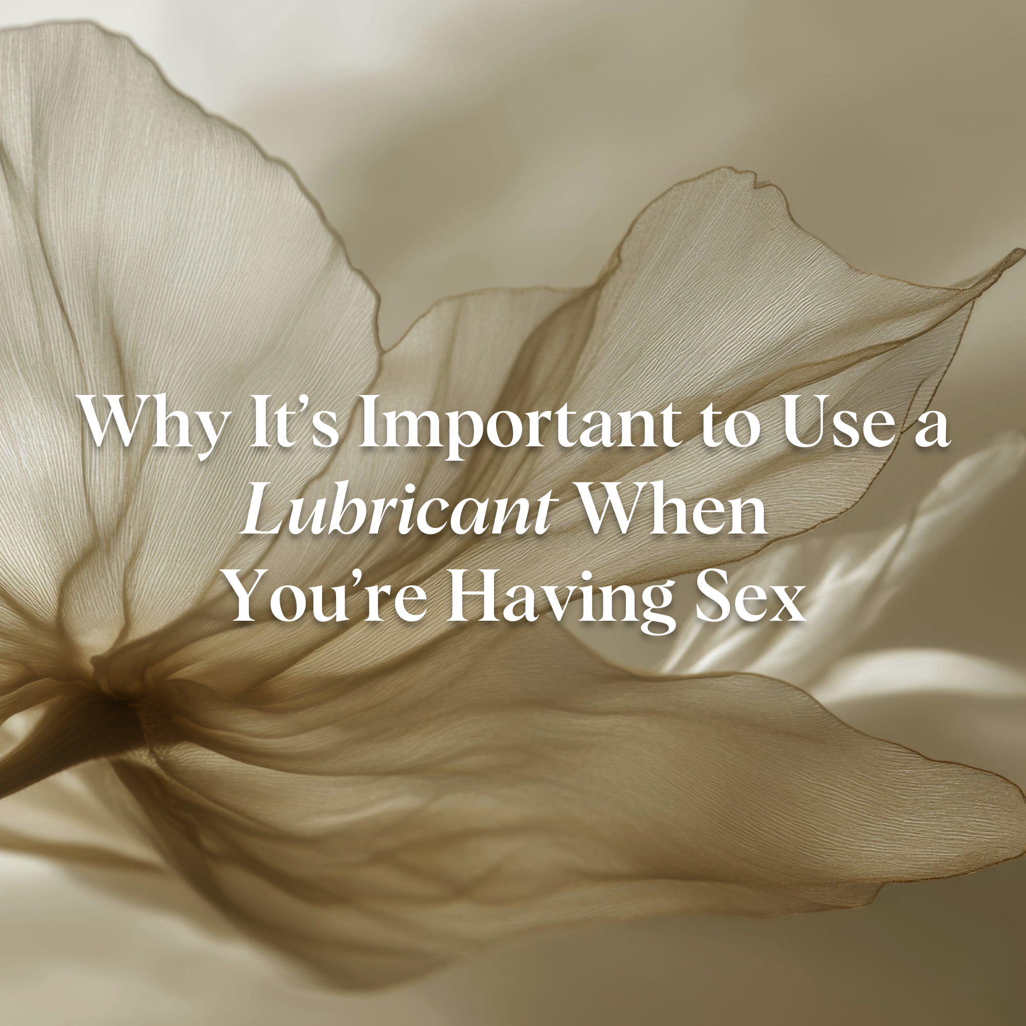 Why It's Important to Use a Lubricant When You're Having Sex NAYDAYA Why It's Important to Use a Lubricant When You're Having Sex NAYDAYA