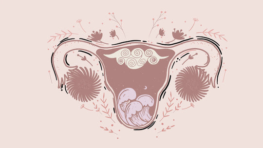 Created graphic of inside the vagina