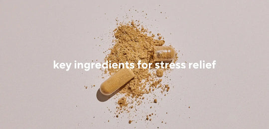 Key Natural Ingredients for Stress Relief