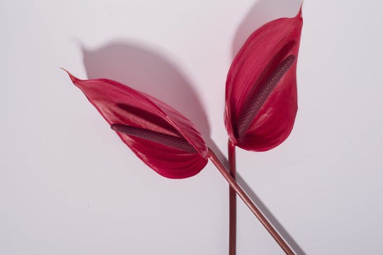 Clean Beauty - Just Another Buzzword?