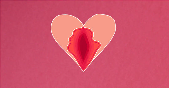 Do You Know The Anatomy Of Your Vagina?