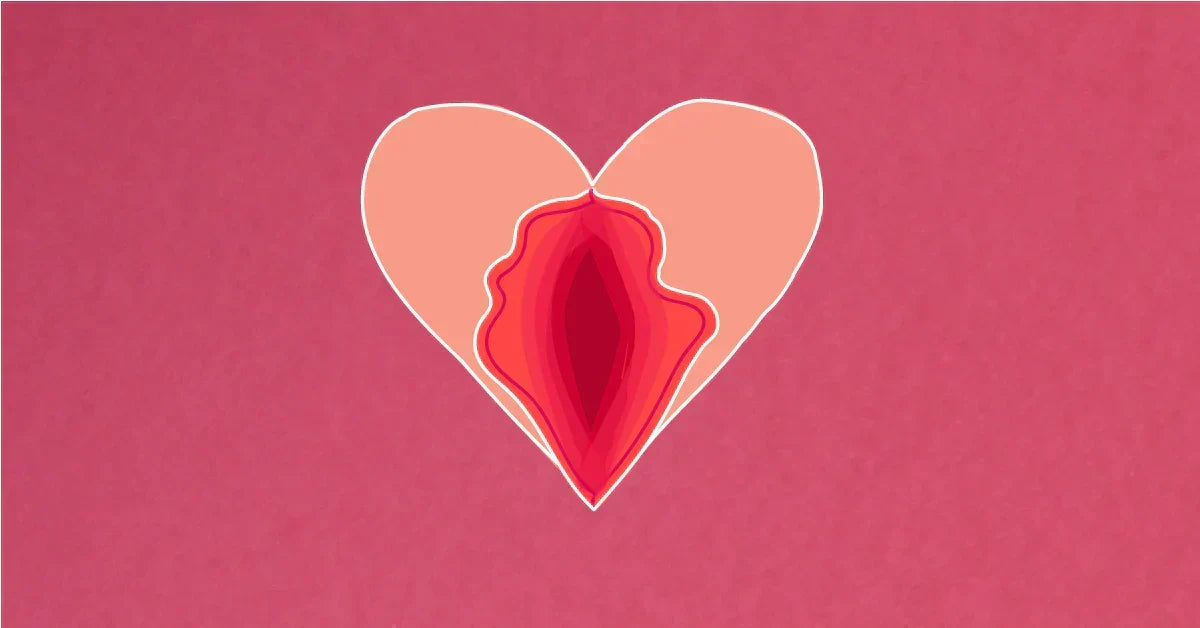 Do You Know The Anatomy Of Your Vagina?