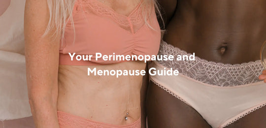 Why Menopause Matters Now: A Menopause Guide for all Women