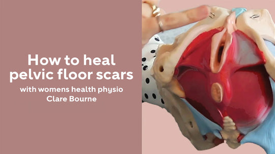 How to heal pelvic floor scars image of pelvis