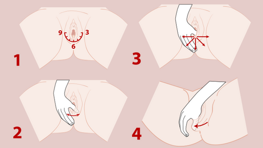 perineal massage diagram