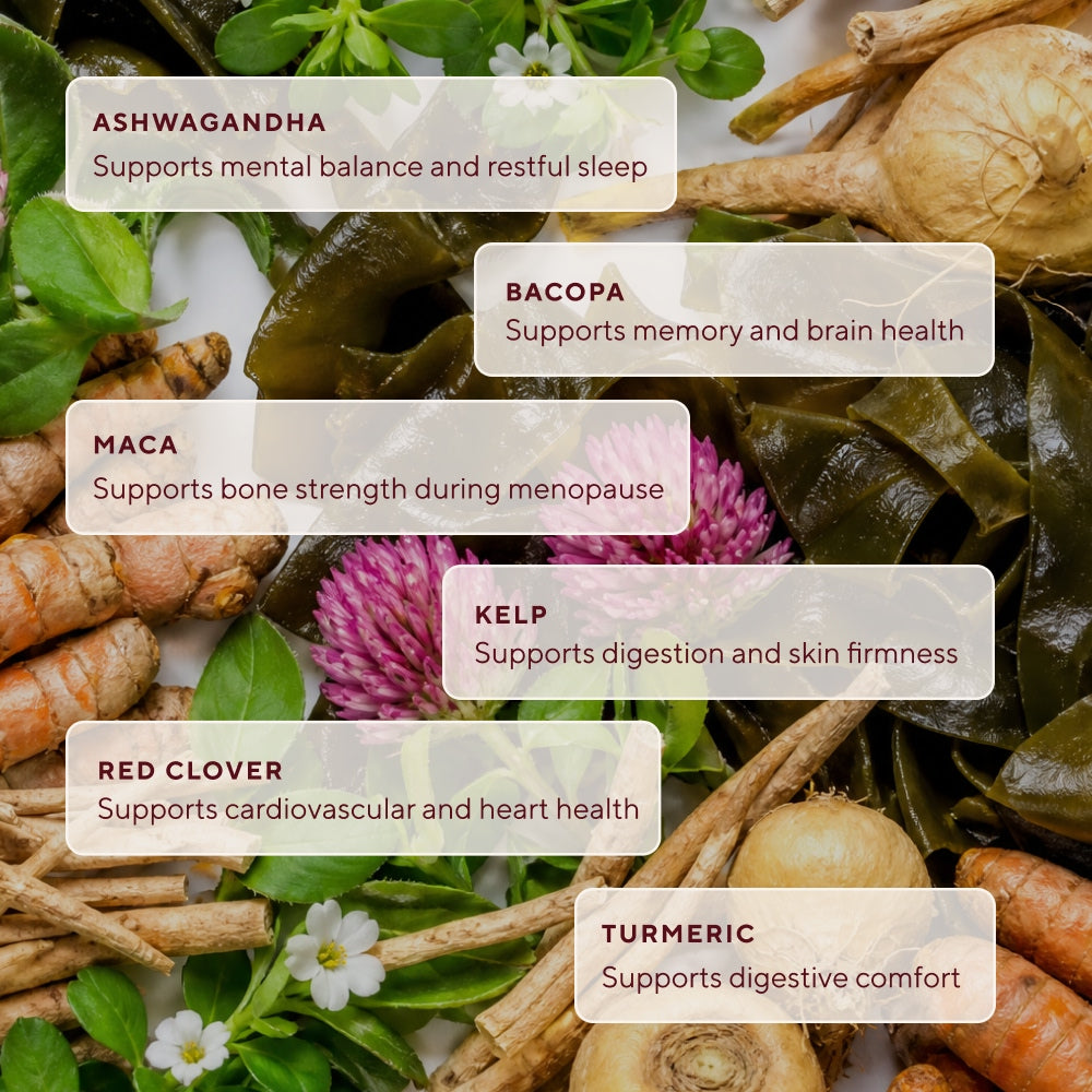 The Menopause Capsule
