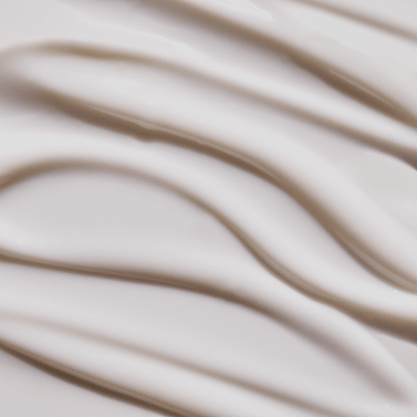 Embodying Change - top image